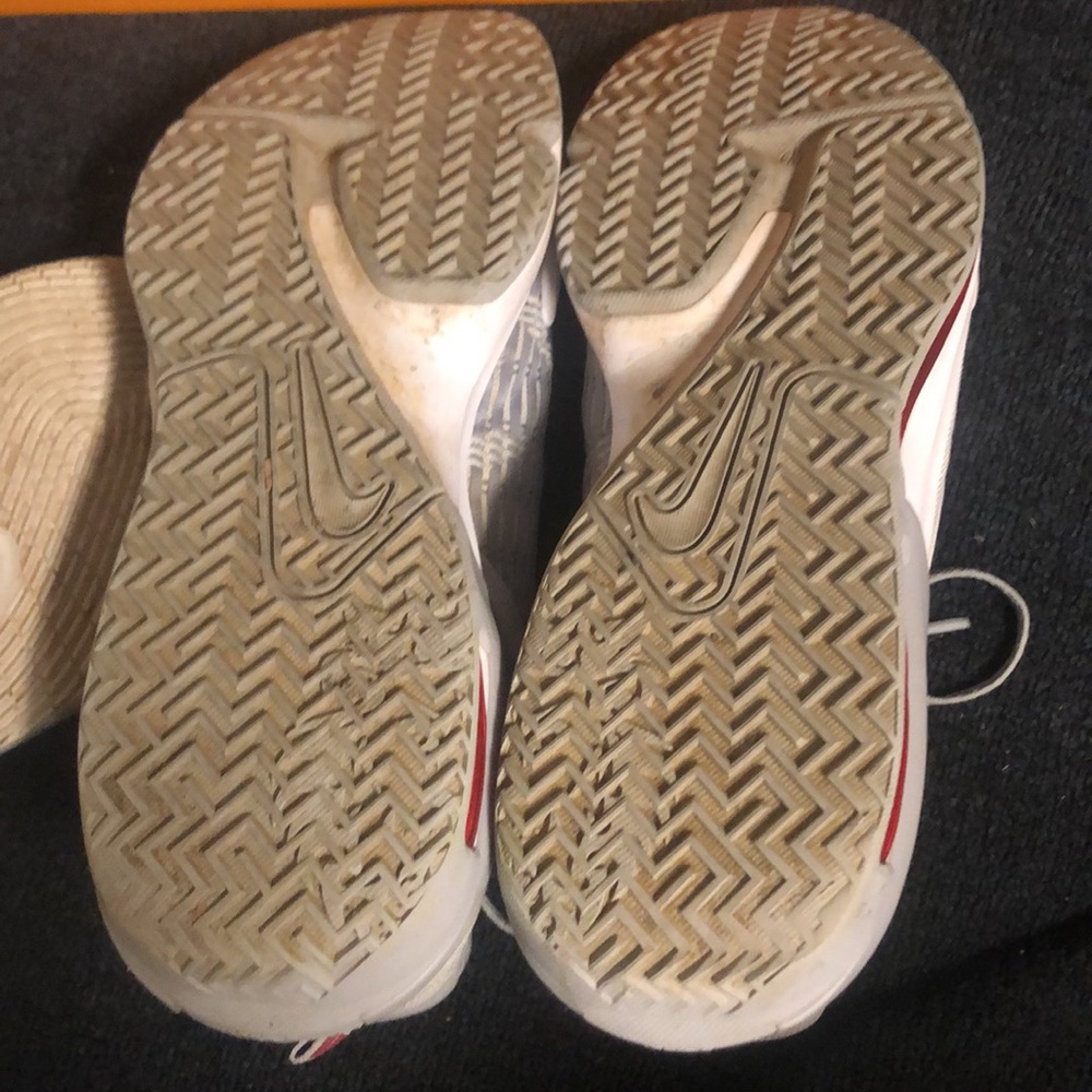 Lebrons - Picture 4 of 4